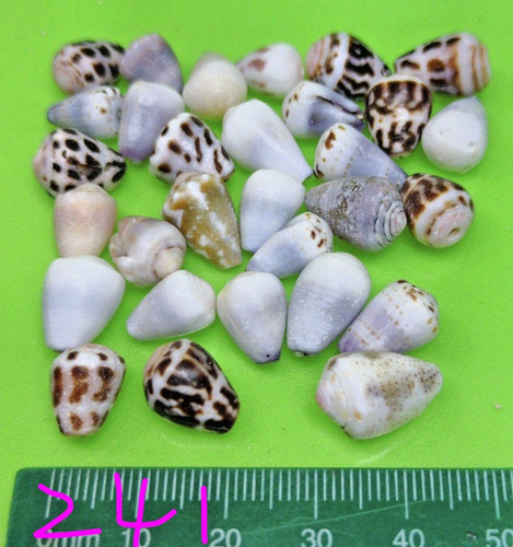 Hebrew cone mix - , from